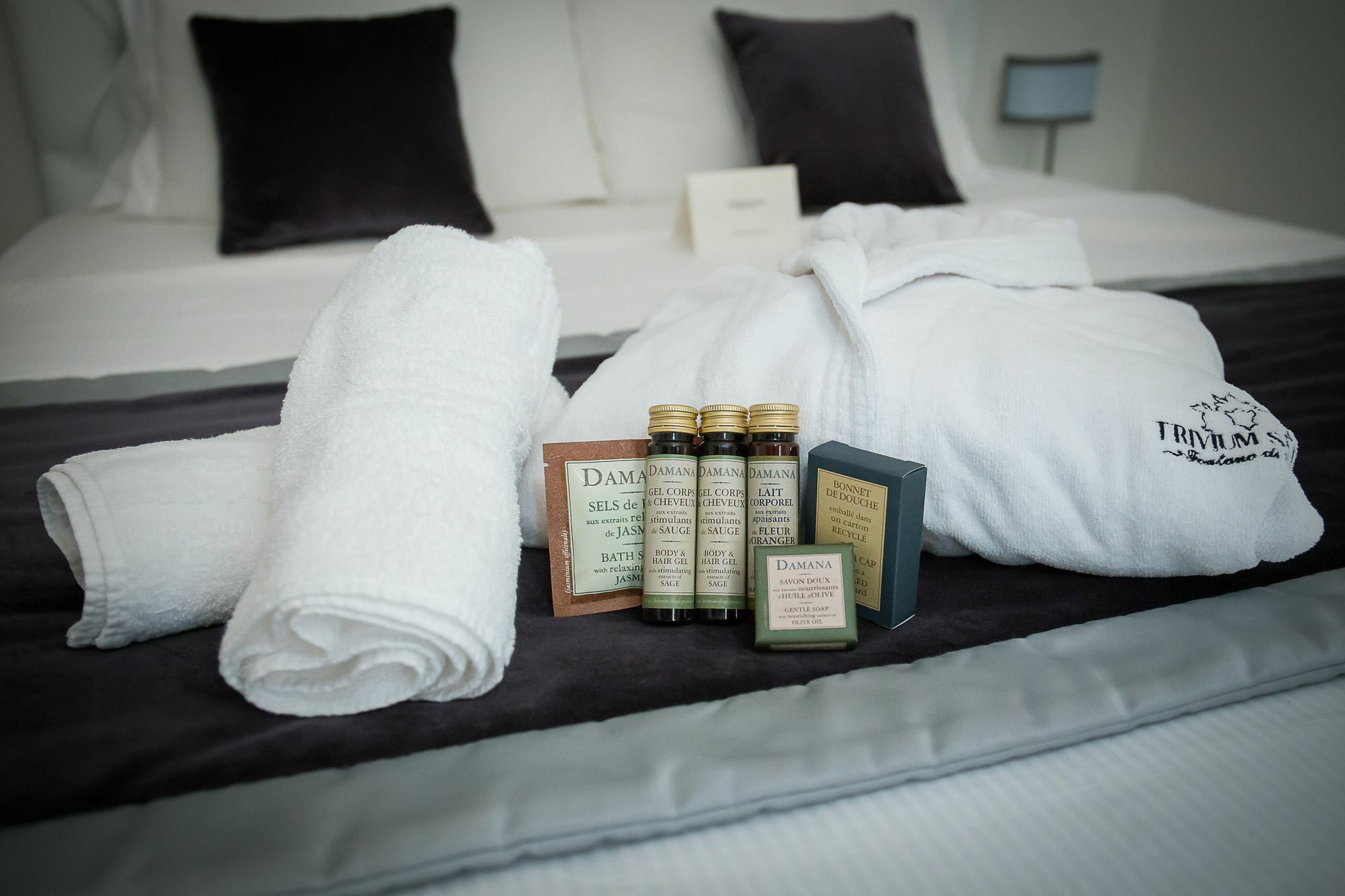 Trivium Suites Fontana Di Trevi Roma Dış mekan fotoğraf